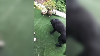 [3548 of 3935 Vids] Bree Louise (bree_louisexoxo aka breebbydance) OnlyFans Leaks Nude