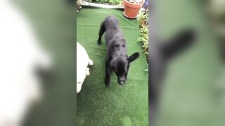 [3548 of 3935 Vids] Bree Louise (bree_louisexoxo aka breebbydance) OnlyFans Leaks Nude