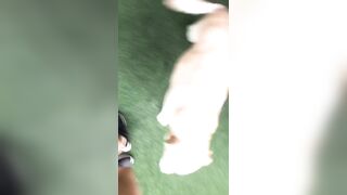 [3548 of 3935 Vids] Bree Louise (bree_louisexoxo aka breebbydance) OnlyFans Leaks Nude