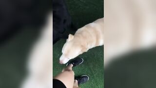 [3548 of 3935 Vids] Bree Louise (bree_louisexoxo aka breebbydance) OnlyFans Leaks Nude