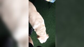 [3548 of 3935 Vids] Bree Louise (bree_louisexoxo aka breebbydance) OnlyFans Leaks Nude