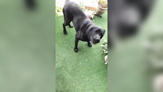 [3548 of 3935 Vids] Bree Louise (bree_louisexoxo aka breebbydance) OnlyFans Leaks Nude