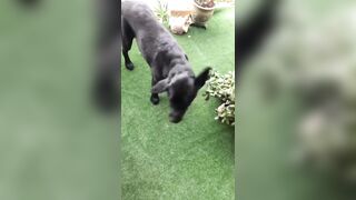 [3548 of 3935 Vids] Bree Louise (bree_louisexoxo aka breebbydance) OnlyFans Leaks Nude