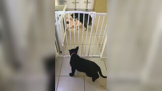 [3573 of 3935 Vids] Bree Louise (bree_louisexoxo aka breebbydance) OnlyFans Leaks Nude