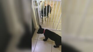 [3573 of 3935 Vids] Bree Louise (bree_louisexoxo aka breebbydance) OnlyFans Leaks Nude