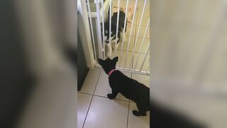 [3573 of 3935 Vids] Bree Louise (bree_louisexoxo aka breebbydance) OnlyFans Leaks Nude