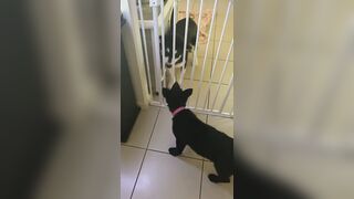 [3573 of 3935 Vids] Bree Louise (bree_louisexoxo aka breebbydance) OnlyFans Leaks Nude