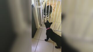 [3573 of 3935 Vids] Bree Louise (bree_louisexoxo aka breebbydance) OnlyFans Leaks Nude