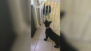 [3573 of 3935 Vids] Bree Louise (bree_louisexoxo aka breebbydance) OnlyFans Leaks Nude