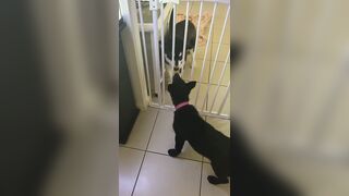 [3573 of 3935 Vids] Bree Louise (bree_louisexoxo aka breebbydance) OnlyFans Leaks Nude