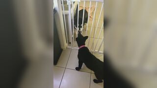 [3573 of 3935 Vids] Bree Louise (bree_louisexoxo aka breebbydance) OnlyFans Leaks Nude