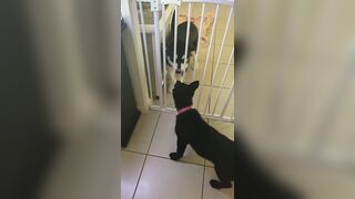 [3573 of 3935 Vids] Bree Louise (bree_louisexoxo aka breebbydance) OnlyFans Leaks Nude