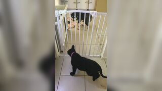 [3573 of 3935 Vids] Bree Louise (bree_louisexoxo aka breebbydance) OnlyFans Leaks Nude