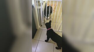 [3573 of 3935 Vids] Bree Louise (bree_louisexoxo aka breebbydance) OnlyFans Leaks Nude