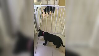 [3573 of 3935 Vids] Bree Louise (bree_louisexoxo aka breebbydance) OnlyFans Leaks Nude