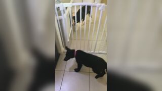 [3573 of 3935 Vids] Bree Louise (bree_louisexoxo aka breebbydance) OnlyFans Leaks Nude