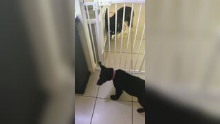 [3573 of 3935 Vids] Bree Louise (bree_louisexoxo aka breebbydance) OnlyFans Leaks Nude