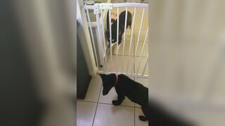 [3573 of 3935 Vids] Bree Louise (bree_louisexoxo aka breebbydance) OnlyFans Leaks Nude