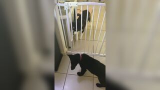 [3573 of 3935 Vids] Bree Louise (bree_louisexoxo aka breebbydance) OnlyFans Leaks Nude