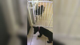 [3573 of 3935 Vids] Bree Louise (bree_louisexoxo aka breebbydance) OnlyFans Leaks Nude