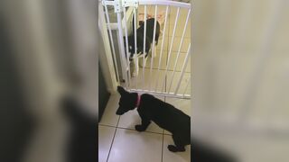 [3573 of 3935 Vids] Bree Louise (bree_louisexoxo aka breebbydance) OnlyFans Leaks Nude