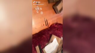 [3580 of 3935 Vids] Bree Louise (bree_louisexoxo aka breebbydance) OnlyFans Leaks Nude