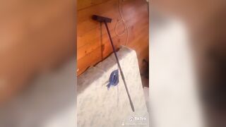 [3580 of 3935 Vids] Bree Louise (bree_louisexoxo aka breebbydance) OnlyFans Leaks Nude