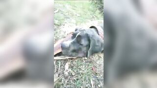 [3622 of 3935 Vids] Bree Louise (bree_louisexoxo aka breebbydance) OnlyFans Leaks Nude