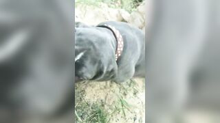 [3622 of 3935 Vids] Bree Louise (bree_louisexoxo aka breebbydance) OnlyFans Leaks Nude