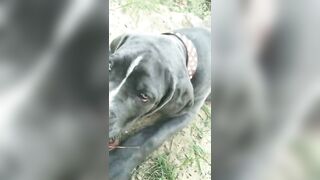 [3622 of 3935 Vids] Bree Louise (bree_louisexoxo aka breebbydance) OnlyFans Leaks Nude