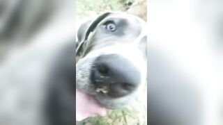 [3622 of 3935 Vids] Bree Louise (bree_louisexoxo aka breebbydance) OnlyFans Leaks Nude