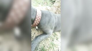 [3622 of 3935 Vids] Bree Louise (bree_louisexoxo aka breebbydance) OnlyFans Leaks Nude