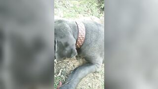 [3622 of 3935 Vids] Bree Louise (bree_louisexoxo aka breebbydance) OnlyFans Leaks Nude