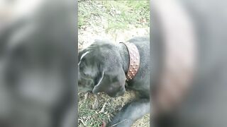 [3622 of 3935 Vids] Bree Louise (bree_louisexoxo aka breebbydance) OnlyFans Leaks Nude