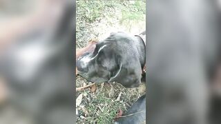 [3622 of 3935 Vids] Bree Louise (bree_louisexoxo aka breebbydance) OnlyFans Leaks Nude