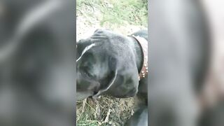 [3622 of 3935 Vids] Bree Louise (bree_louisexoxo aka breebbydance) OnlyFans Leaks Nude