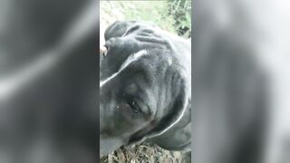 [3622 of 3935 Vids] Bree Louise (bree_louisexoxo aka breebbydance) OnlyFans Leaks Nude