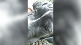 [3622 of 3935 Vids] Bree Louise (bree_louisexoxo aka breebbydance) OnlyFans Leaks Nude