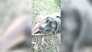 [3622 of 3935 Vids] Bree Louise (bree_louisexoxo aka breebbydance) OnlyFans Leaks Nude