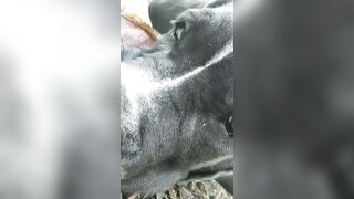 [3622 of 3935 Vids] Bree Louise (bree_louisexoxo aka breebbydance) OnlyFans Leaks Nude