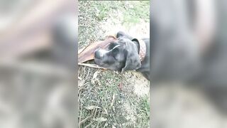 [3622 of 3935 Vids] Bree Louise (bree_louisexoxo aka breebbydance) OnlyFans Leaks Nude