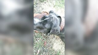 [3622 of 3935 Vids] Bree Louise (bree_louisexoxo aka breebbydance) OnlyFans Leaks Nude