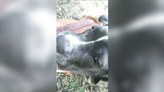 [3622 of 3935 Vids] Bree Louise (bree_louisexoxo aka breebbydance) OnlyFans Leaks Nude