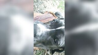 [3622 of 3935 Vids] Bree Louise (bree_louisexoxo aka breebbydance) OnlyFans Leaks Nude