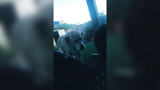 [3631 of 3935 Vids] Bree Louise (bree_louisexoxo aka breebbydance) OnlyFans Leaks Nude