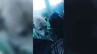 [3631 of 3935 Vids] Bree Louise (bree_louisexoxo aka breebbydance) OnlyFans Leaks Nude