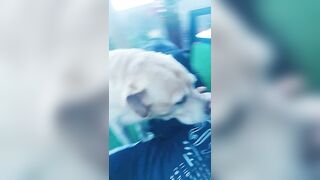 [3631 of 3935 Vids] Bree Louise (bree_louisexoxo aka breebbydance) OnlyFans Leaks Nude