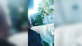 [3631 of 3935 Vids] Bree Louise (bree_louisexoxo aka breebbydance) OnlyFans Leaks Nude