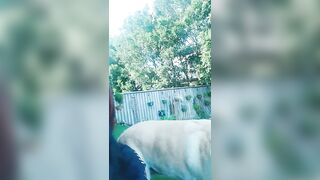 [3631 of 3935 Vids] Bree Louise (bree_louisexoxo aka breebbydance) OnlyFans Leaks Nude