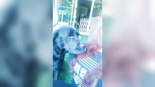 [3631 of 3935 Vids] Bree Louise (bree_louisexoxo aka breebbydance) OnlyFans Leaks Nude